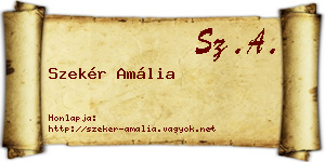 Szekér Amália névjegykártya